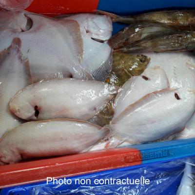 Panier de poissons d'une valeur de 80€ TTC + 3,6€ TTC caisse PSE